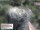 Webcam in Aurach, 14.8 mi away