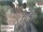 Webcam in Aurach, 38.1 km
