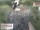 Webcam in Aurach, 17 mi away
