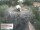 Webcam in Aurach, 13.8 km entfernt