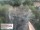 Webcam in Aurach, 5 mi away