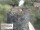 Webcam in Aurach, 4.7 mi away