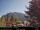Webcam in North Bend, Washington, 35.2 mi away