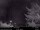 Webcam in North Bend, Washington, 65.3 km entfernt