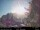 Webcam in North Bend, Washington, 46 mi away