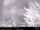 Webcam in North Bend, Washington, 137.4 km entfernt
