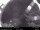 Webcam in North Bend, Washington, 65.3 km entfernt