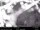 Webcam in North Bend, Washington, 41.1 km