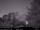 Webcam in North Bend, Washington, 39 km