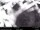 Webcam in North Bend, Washington, 26.6 km