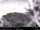 Webcam in North Bend, Washington, 39.7 km entfernt