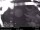 Webcam in North Bend, Washington, 16.4 mi away