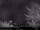 Webcam in North Bend, Washington, 25.4 km