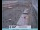 Webcam in Venezia, 9.6 km