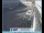 Webcam in Venice, 0.2 mi away