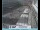 Webcam in Venedig, 0.5 km entfernt