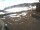 Webcam at the Schliersee, 4.5 mi away