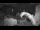 Webcam in Quart-A-Nancy Point, 46 mi away