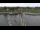 Webcam in Greetsiel, 6.4 mi away