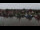 Webcam in Greetsiel, 12.6 km