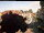 Webcam in Esens, 3.4 mi away