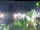 Webcam in Esens, 8.3 mi away