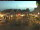 Webcam in Esens, 0.2 km