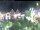 Webcam in Esens, 0.2 km entfernt
