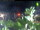 Webcam in Esens, 8.3 mi away