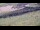 Webcam in Cadzand-Bad, 21.5 km
