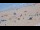 Webcam in Cadzand-Bad, 17.8 km