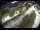 Webcam in Filzmoos, 4.7 km