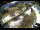 Webcam in Filzmoos, 3.8 mi away