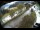 Webcam in Filzmoos, 2.7 mi away