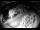 Webcam in Filzmoos, 0.9 km