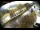 Webcam in Filzmoos, 7.1 km entfernt