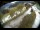Webcam in Filzmoos, 0.9 km