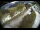 Webcam in Filzmoos, 0.9 km