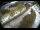 Webcam in Filzmoos, 4.7 km