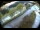 Webcam in Filzmoos, 9.3 km entfernt