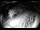 Webcam in Filzmoos, 6.5 km