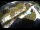 Webcam in Filzmoos, 4.7 km