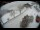 Webcam in Filzmoos, 3.8 mi away