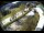 Webcam in Filzmoos, 7.8 km
