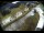Webcam in Filzmoos, 0.9 km