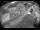 Webcam in Filzmoos, 0.9 km