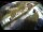 Webcam in Filzmoos, 0.4 mi away