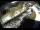 Webcam in Filzmoos, 9.8 km