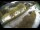 Webcam in Filzmoos, 0.4 mi away