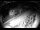 Webcam in Filzmoos, 0.9 km